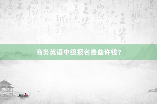 商务英语中级报名费些许钱？