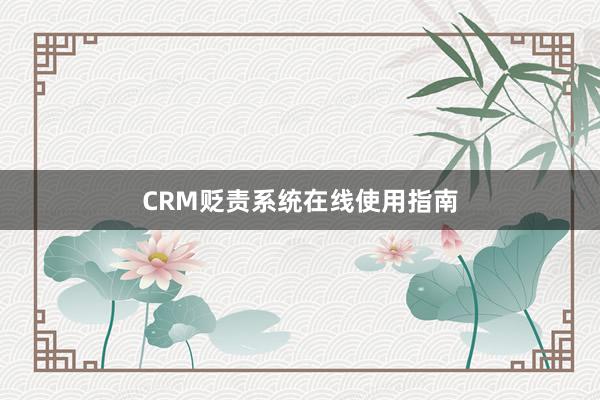 CRM贬责系统在线使用指南