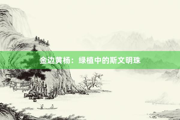 金边黄杨：绿植中的斯文明珠