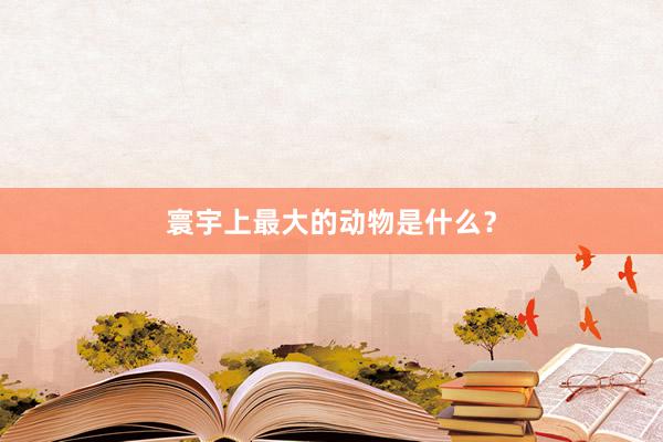 寰宇上最大的动物是什么？