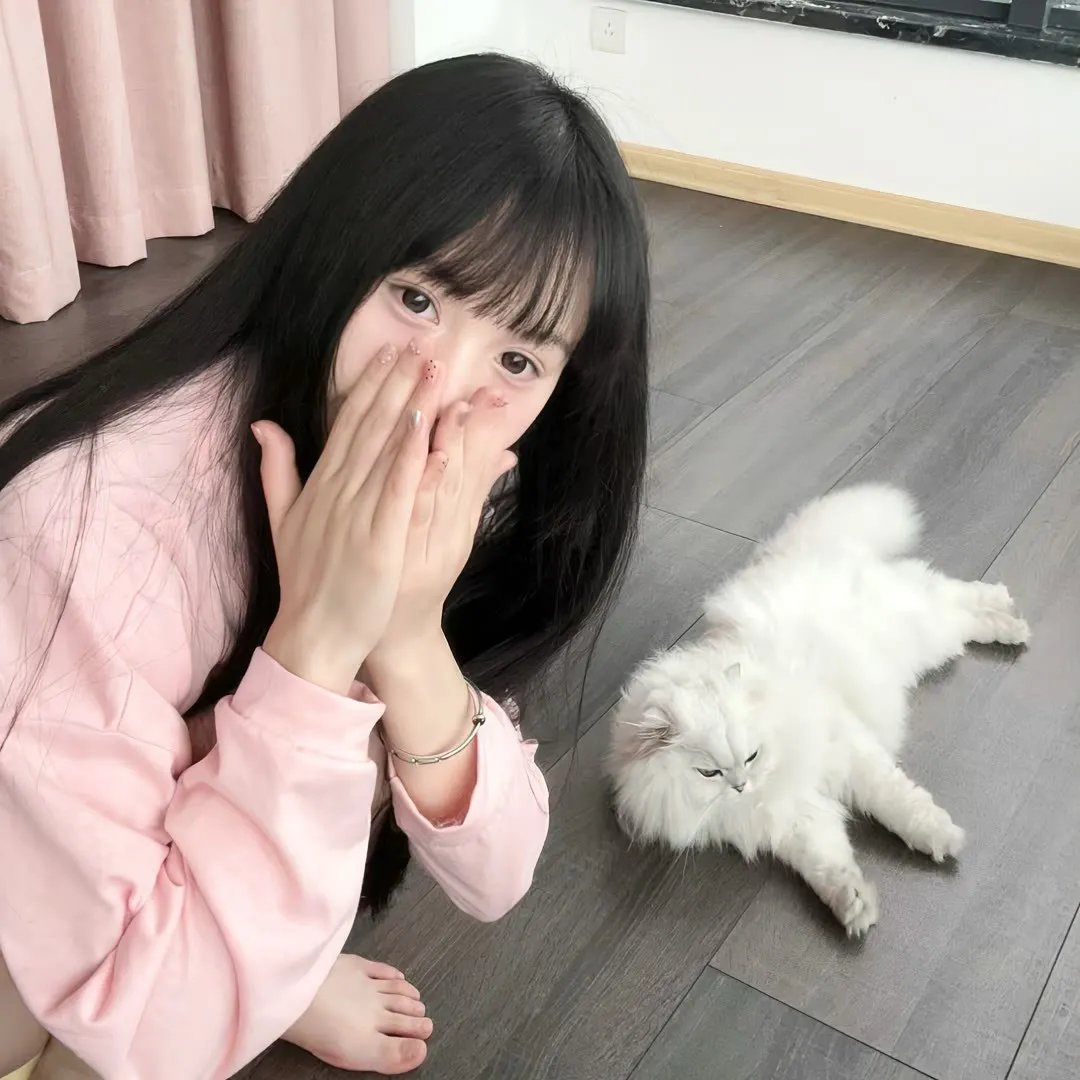 我有一个表白就失败系统