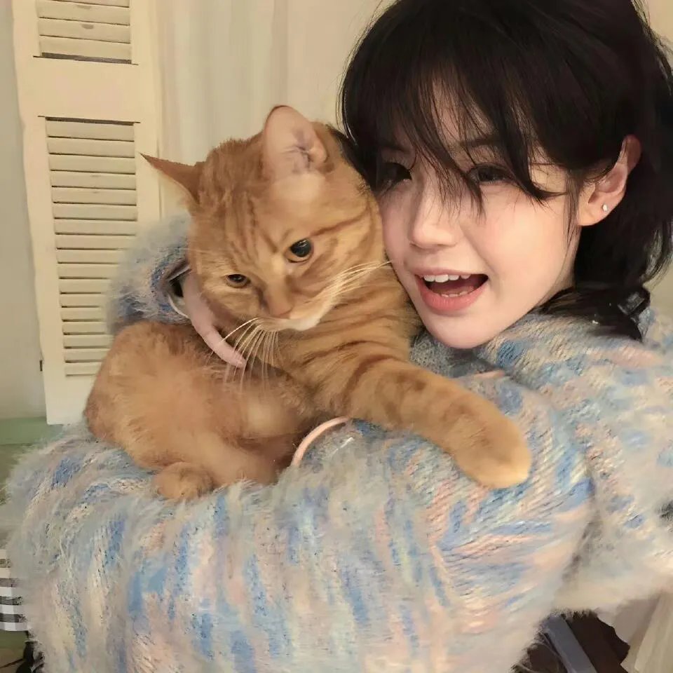 苏小妹闪光奇旅